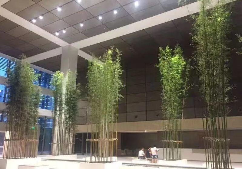 張江日月光